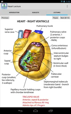 Heart Lecture android App screenshot 0