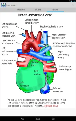 Heart Lecture android App screenshot 2