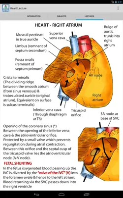 Heart Lecture android App screenshot 3