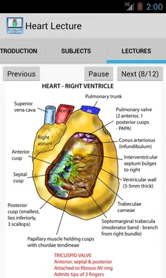 Heart Lecture android App screenshot 4