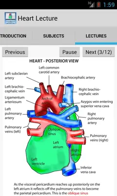 Heart Lecture android App screenshot 5